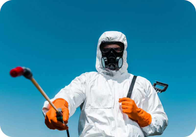 Pest Control Company in Dammam